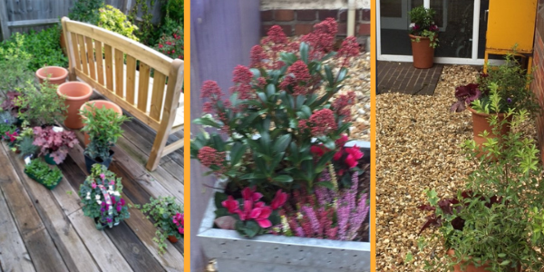 Image related to Blooming marvellous at Abingdon Community Hospital