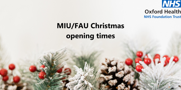 Image related to MIU/FAU Christmas opening times 2022