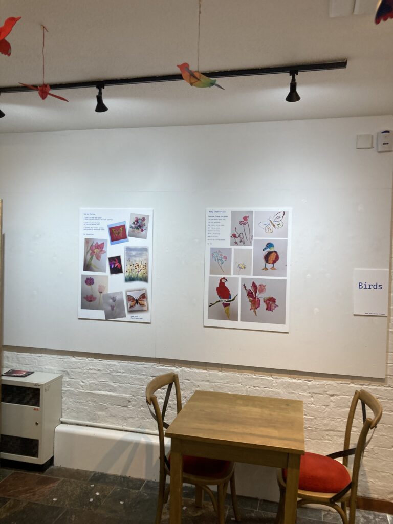 IMG-6585