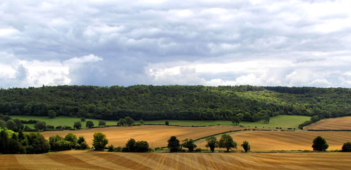 buckinghamshire-oxford-health-camhsoxford-health-camhs